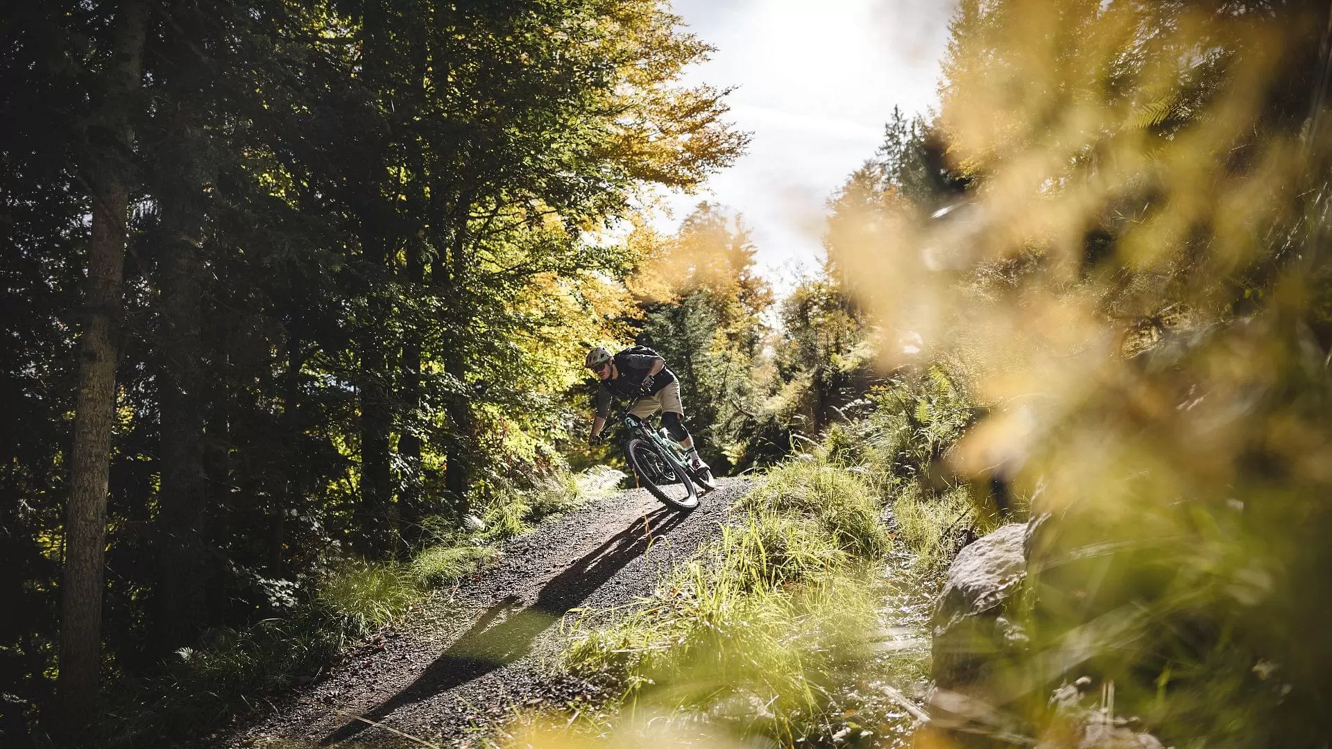 hd-Biken-in-der-Bike-Area-Fieberbrunn-im-Herbst-2Cklauslistl-freezingmotions(1)